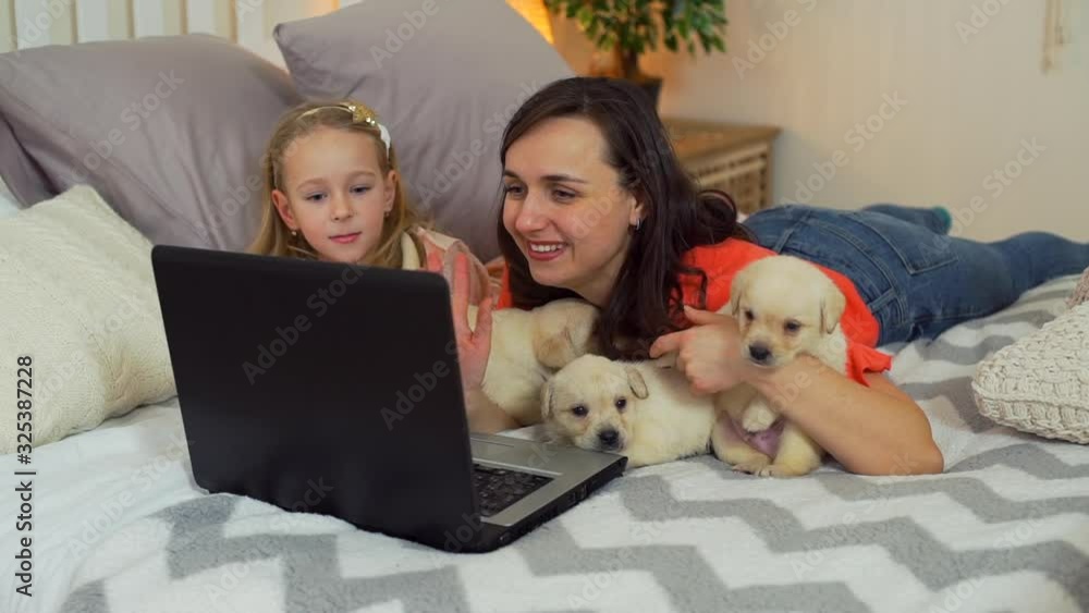 Young Woman with her Little Daughter Having Video Call with a Laptop while Lying on a Bed near Three Cute Golden Retriever Puppies. Contemporary Technology, Domestic Animals and People Concept Young Woman with her Little Daughter Having Video Call with a Laptop while Lying on a Bed near Three Cute Golden Retriever Puppies. Contemporary Technology, Domestic Animals and People Concept