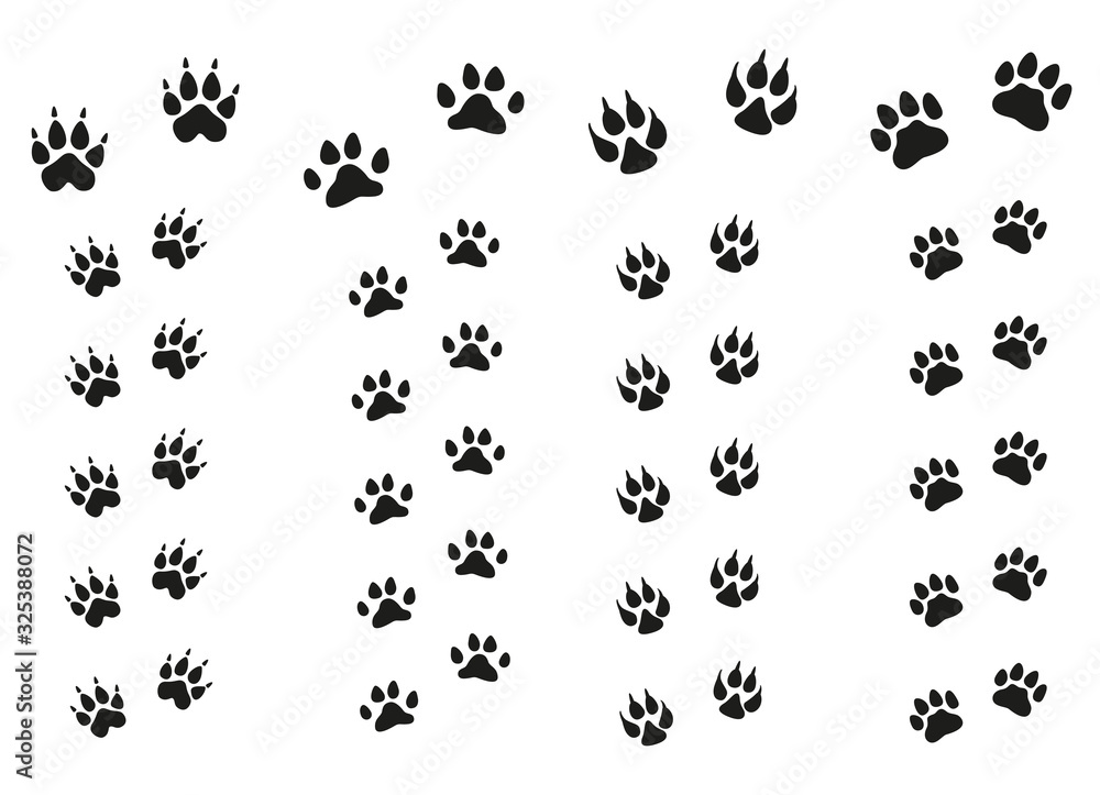 Trails of animals steps isolated on white background. Paw Print. Trails of animals steps isolated on white background. Paw Print.