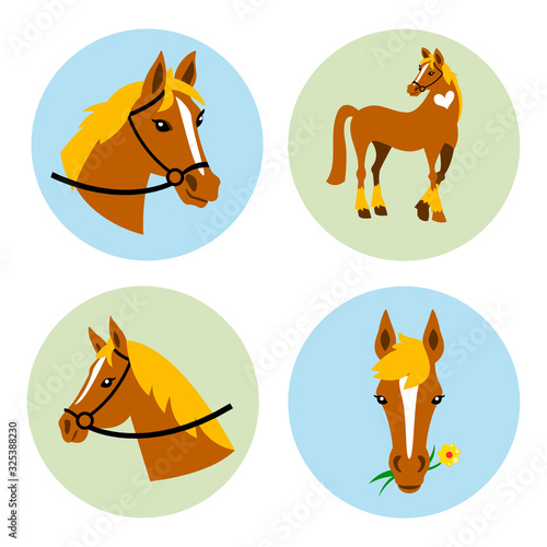 Vector Horse icons set. Horse icons set.Horse icons flat. Horse icons.