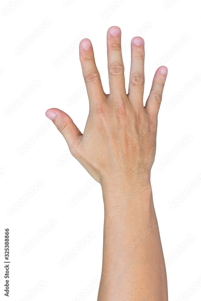 asian hand on white background asian hand on white background