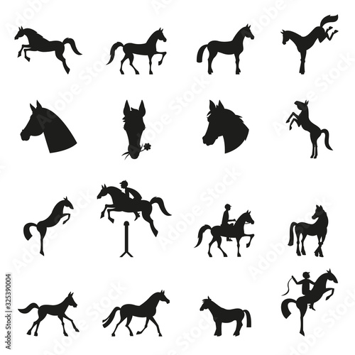 Horse collection - vector silhouette.