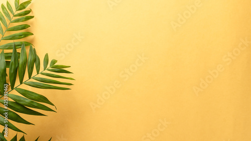 green palm leaves on a yellow background. Minimal summer exotic concept with copy space. banner