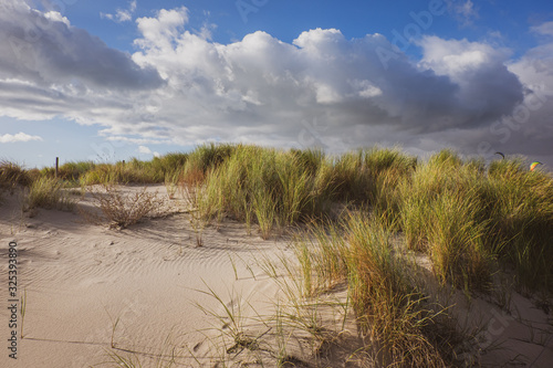 Dünen in Warnemünde