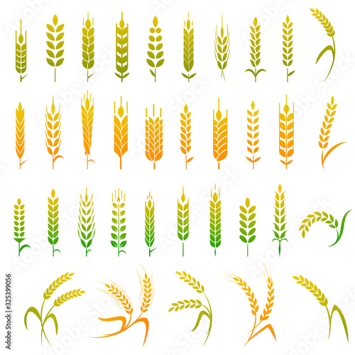 Cereals icon set with rice, wheat, corn, oats, rye, barley. Concept for organic products label, harvest and farming, grain, bakery, healthy food.