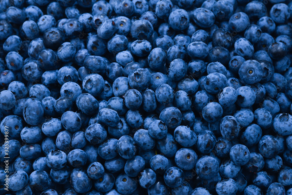 Fresh blueberry background. Texture blueberry berries close up. Fresh blueberry background. Texture blueberry berries close up.