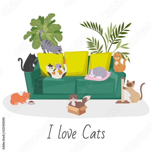 Cute cats, home pets cartoon vector illustration. Interior of the living room with plants and cats and kitten on cozy sofa. Home pets and i love cats quote isolated on white.