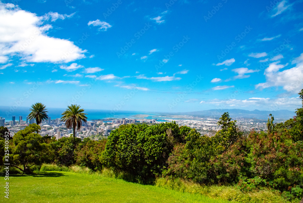 Honolulu Panoramic View