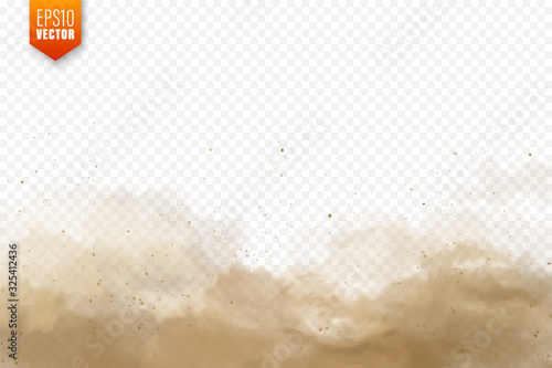 Realistic dust clouds. Sand storm. Polluted dirty brown air, smog. Vector illustration.
