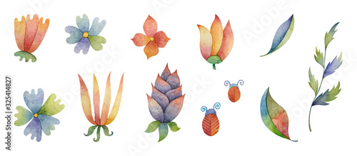 A watercolor floral set
