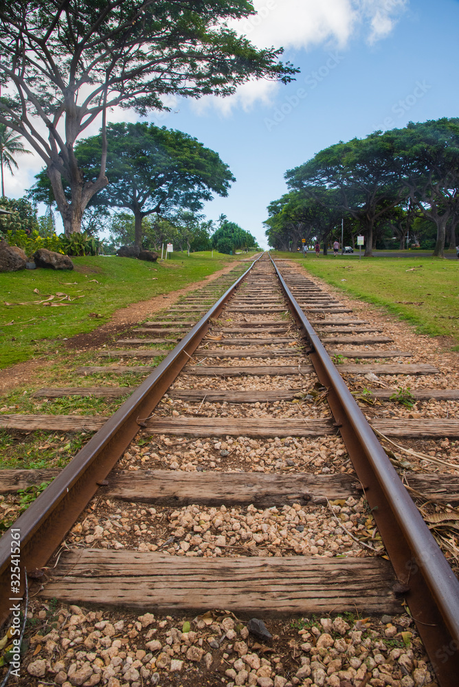 Fototapeta premium Vias del tren