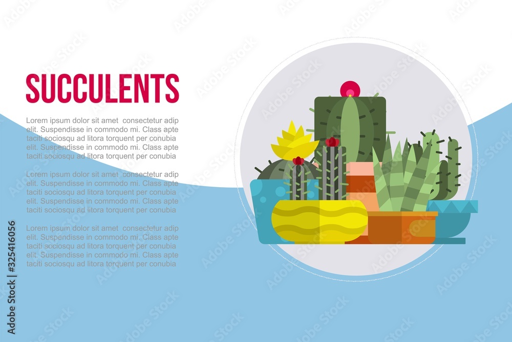 Indoor plants, succulents rosettes varieties including pin cushion cactus realistic collection cartoon vector illustration. Cacti and succulents collection banner with text and typography.