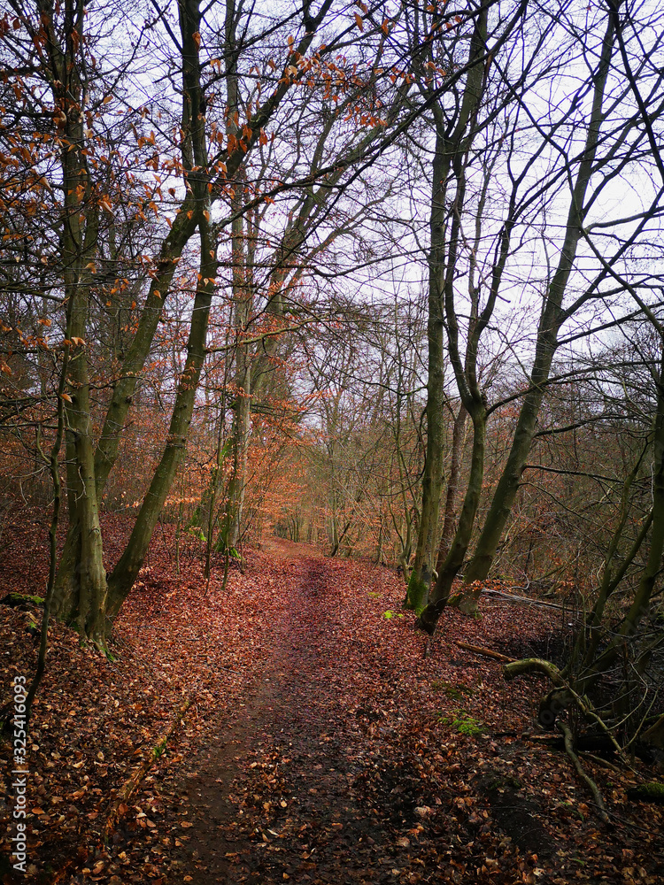 Winter Winter