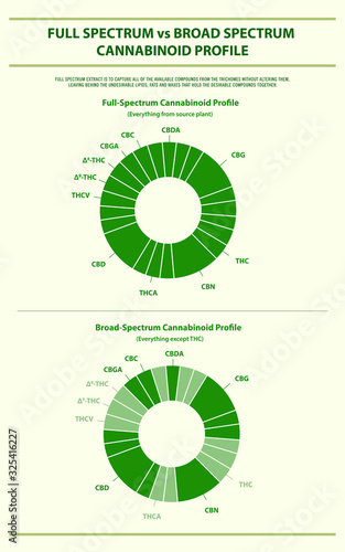 Full Spectrum vs Broad Spectrum Cannabinoid Profile vertical infographic illustration about cannabis as herbal alternative medicine and chemical therapy, healthcare and medical science vector.