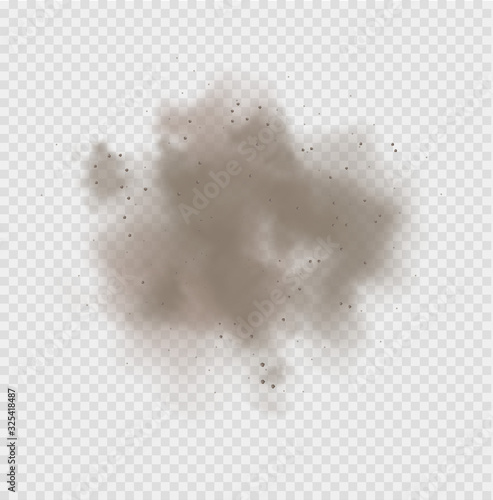 Dust cloud, sand storm, powder spray on transparent background. Desert wind with cloud of dust and sand. Realistic vector illustration.