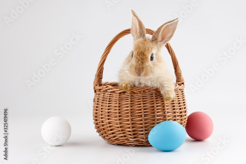 Obraz na plátne Easter bunny rabbit in basket with colorful eggs