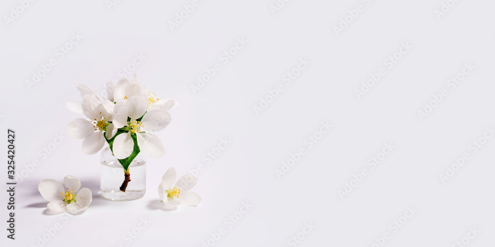 Obraz premium Spa natural cosmetic concept. White background with copy space for text.