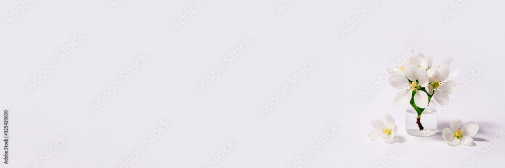 Obraz premium Koncepcja naturalnych kosmetyków spa. Białe tło z miejscem na tekst.