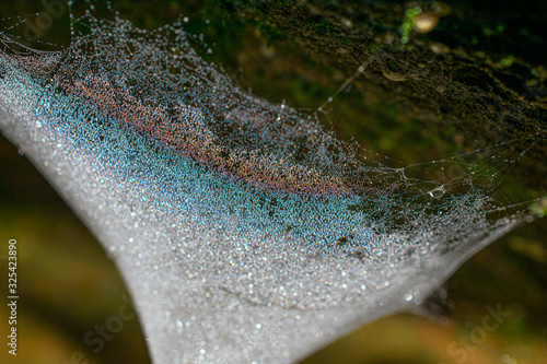 Spider web by a waterfall. The water drops gave it a rainbow effect .