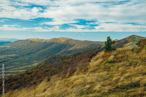 picturesque mountain ridge wilderness highland environment with lonely tree on top and cloudy moody weather time of autumn season