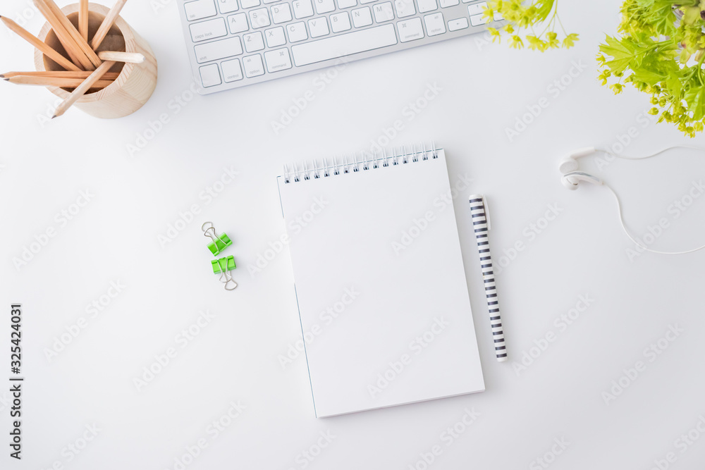 Flat lay blogger or freelancer workspace with a laptop, branches with green leaves, office supplies on a light background Flat lay blogger or freelancer workspace with a laptop, branches with green leaves, office supplies on a light background