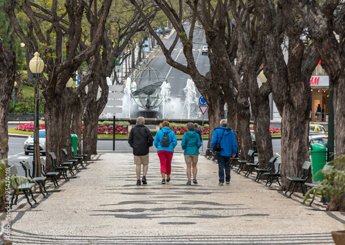  Jacaranda trees along Avenida Arriaga one of the favorite places for walks in Funchal on Madeira,