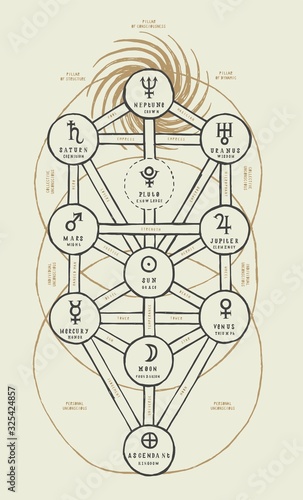 Detailed Sephirothic Tree illustration. Occult illustration of the tree of life Kabbalah scheme.