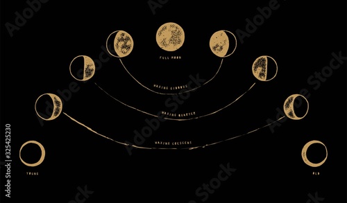 Moon phases illustration with inscriptions vintage occult vector illustration