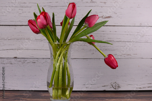 Photo Red tulip in clear vase on wood base with white wood background right hanging fl