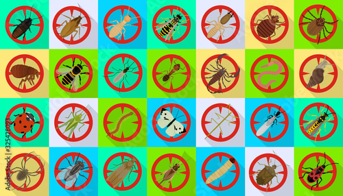 Bug of insect vector flat set icon.Vector illustration insect beetle. Isolated flat icon bug and fly beetle.
