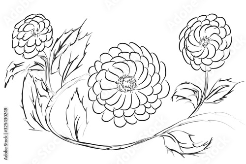  illustration of abstract flower