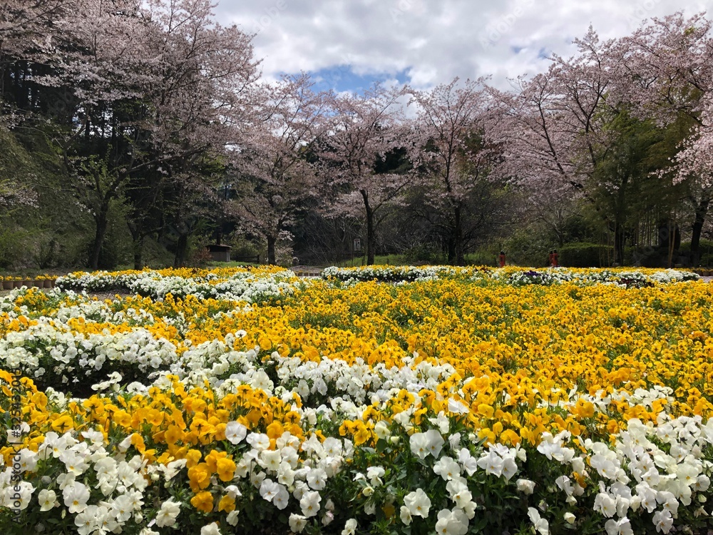 Obraz premium AbeMonju-in Temple in Nara