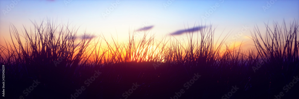 Scenic View Of Field Against Sky During Sunset , close up, colorful, bright sun, panoramic