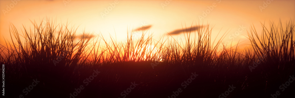 Scenic View Of Field Against Sky During Sunset , close up, colorful, golden bright sun, panoramic, warm color