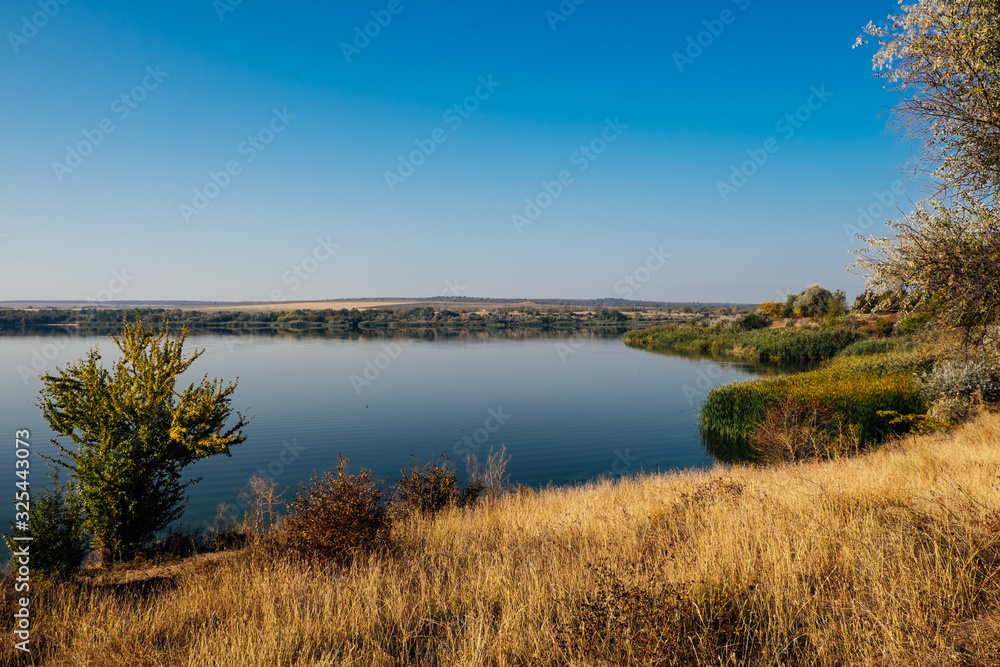 Forest river at sunset. Beautiful summer nature landscape. Forest river with reed and plants and trees. Calm river and blue sky. Amazing nature background with lake and forest. 