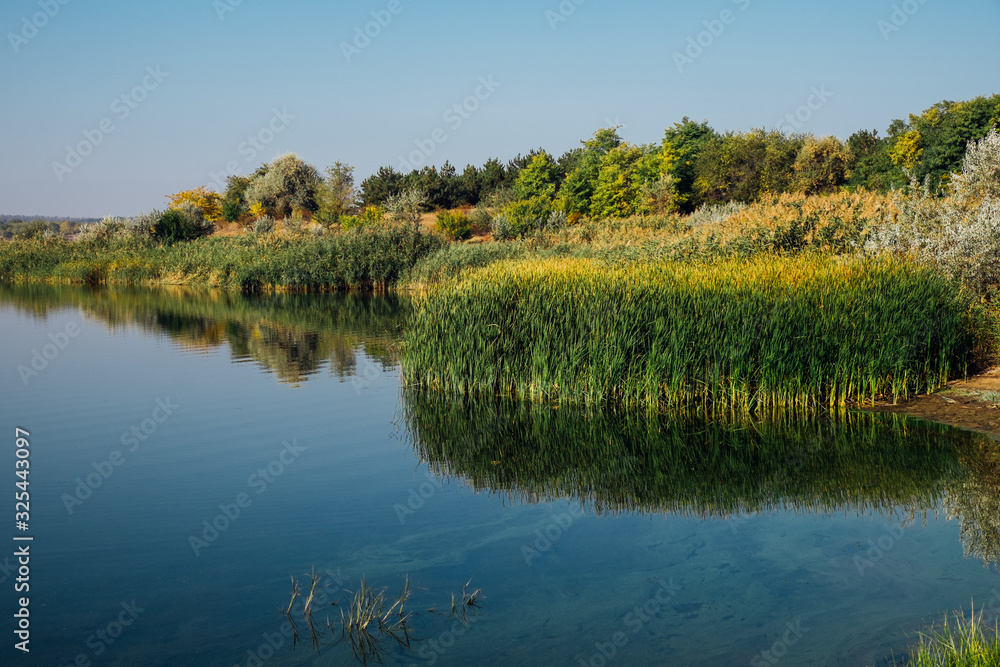 Fototapeta premium Forest river at sunset. Beautiful summer nature landscape. Forest river with reed and plants and trees. Calm river and blue sky. Amazing nature background with lake and forest.