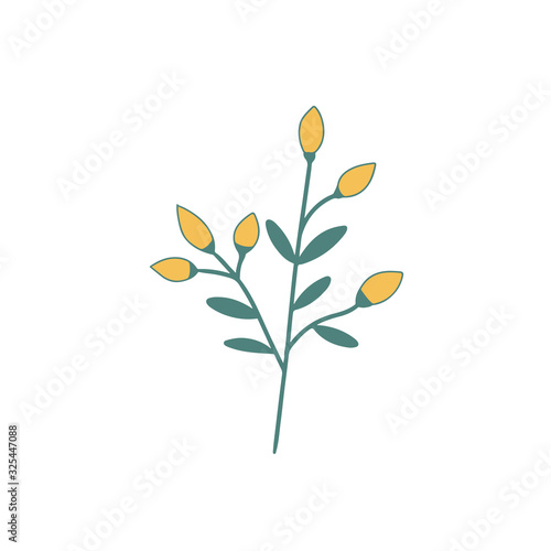 Hand drawn flower flat vector icon isolated on a white background.