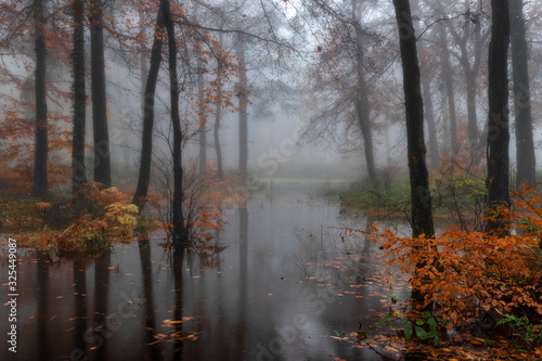 The Misty Lake © Paul