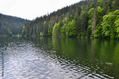 panoramic view of the lake and the forests around, Synevyr Lake, Ukraine