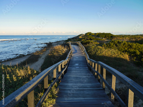 Wooden walkway on the beach - Garden Route  South Africa