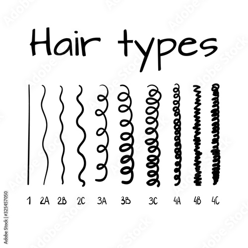 Vector illustration of hair types chart with all curl types, labeled. Curly girl method concept.