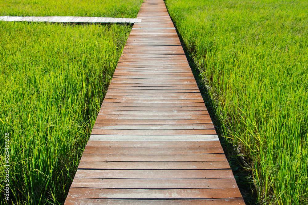 wooden bridge in green farm