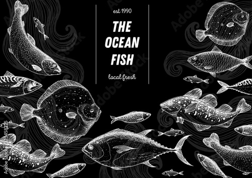 Fish sketch collection. Hand drawn vector illustration. Seafood frame vector illustration. Food menu illustration. Hand drawn tuna, salmon, flounder, cod fish, herring. Engraved style.