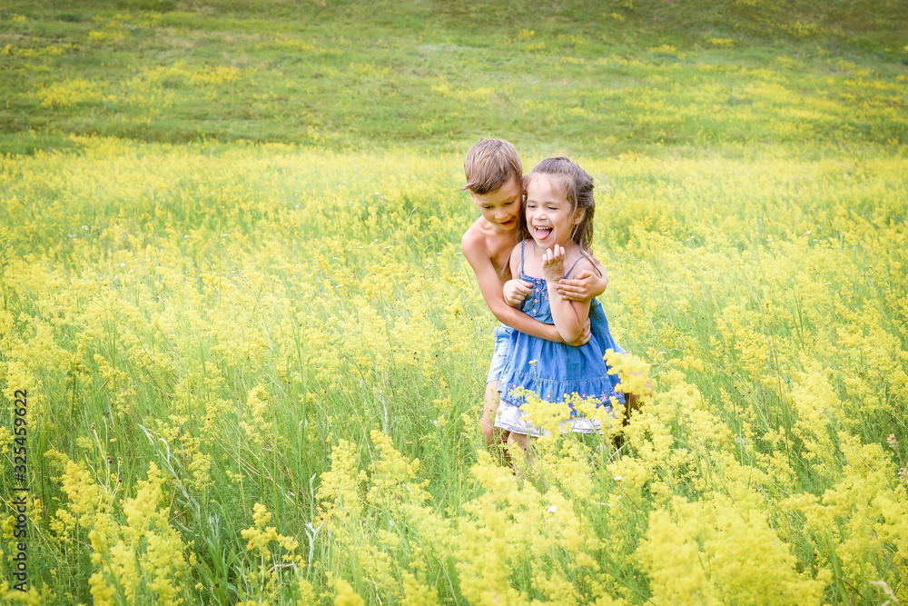 happy kids boy and girl play in field on meadow in flowers in nature happy kids boy and girl play in field on meadow in flowers in nature