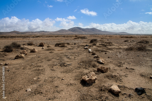 lonely stony desert with bushes and mountains in background, on fuerteventura, canary islands, spain