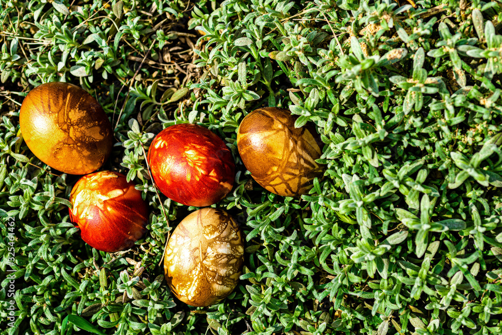 Multicolored easter eggs in green grass. Easter concept Multicolored easter eggs in green grass. Easter concept