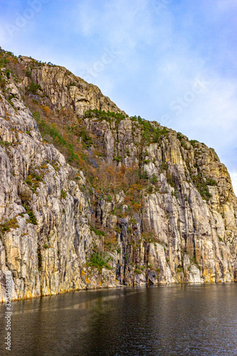 Majestic Lysefjord mountain wall with trees  Norway