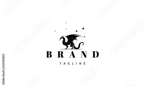 Vector logo on which an abstract image of a magic dragon.