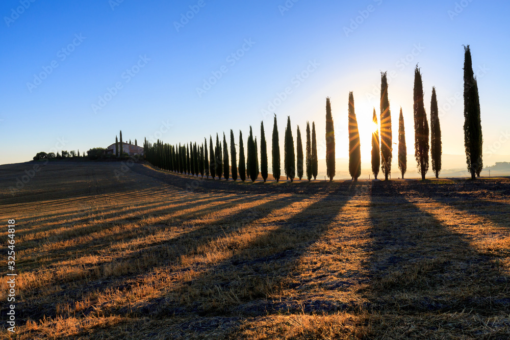 Tuscan landscape with a road lined with cypress trees and a farmstead at sunrise, San Quirico d'Orcia, Val d'Orcia, Tuscany, Italy