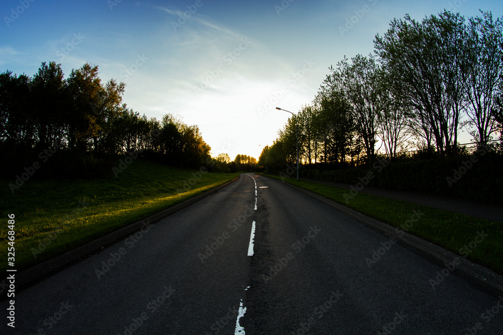 road in the forest