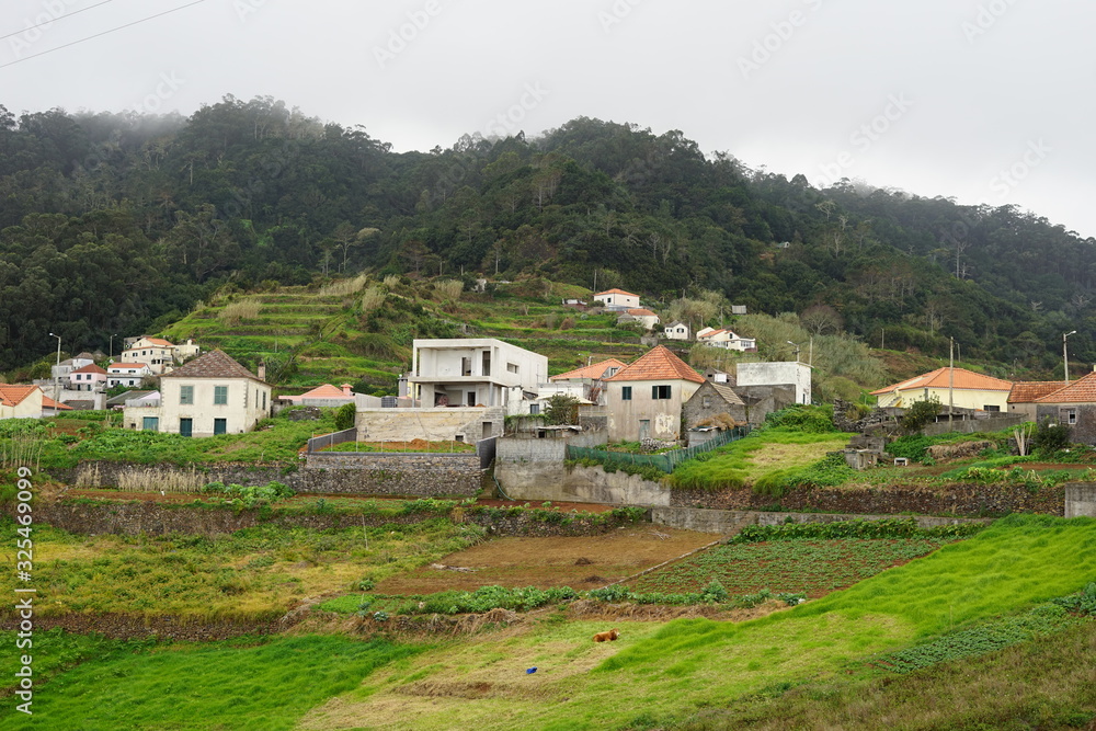 Obraz premium Dörfliche Siedlung mit Feldern auf Madeira